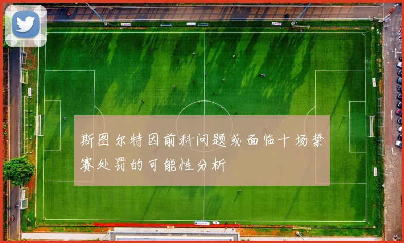 斯图尔特因前科问题或面临十场禁赛处罚的可能性分析